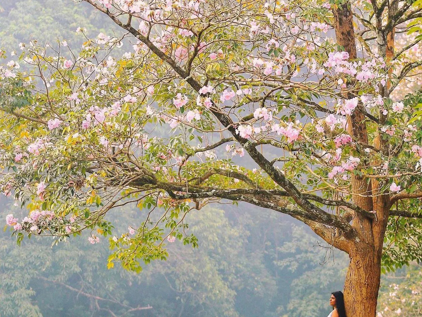 Smartvalle Nature & Luxury Villa Kandy 5*,  Sri Lanka